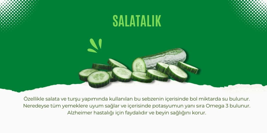 salatalık mayıs ayında yenir