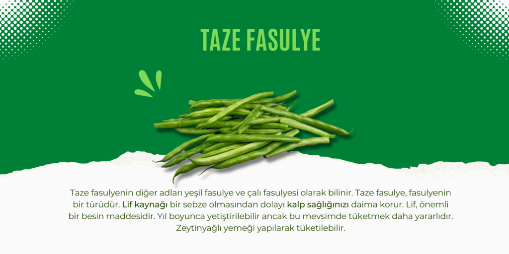 Haziranda ne yenir. Taze fasulye